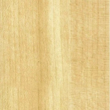 צבע עץ לריהוט 5602 אדר לבן