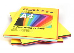 סקיצה ובריסטולים