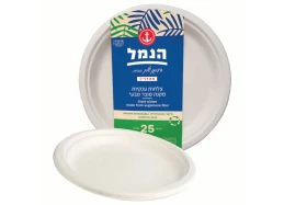 צלחות גדולות 