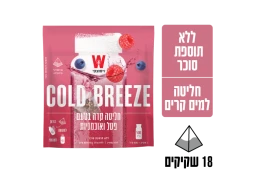 תה חליטה קרה בטעם פטל אוכמניות
