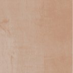 צבע עץ לריהוט 5646 סלמון